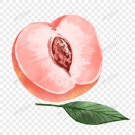 WWW,av984·COM网站APPAPP应用