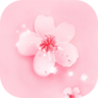 9.1短视频APPAPP应用